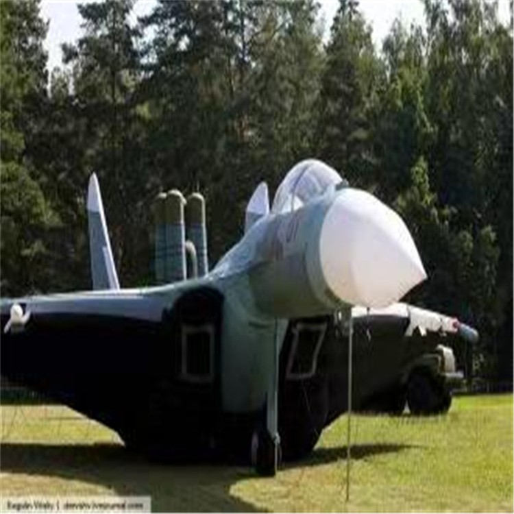 金沙充气模型飞机制造商家